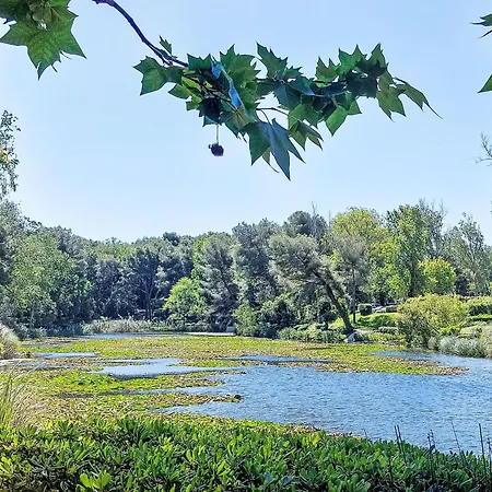 Apartmán Les Rivages De Coudouliere-2 By Interhome *